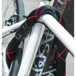 ABUS Catena Antifurto Ivy Chain 9210 170 cm