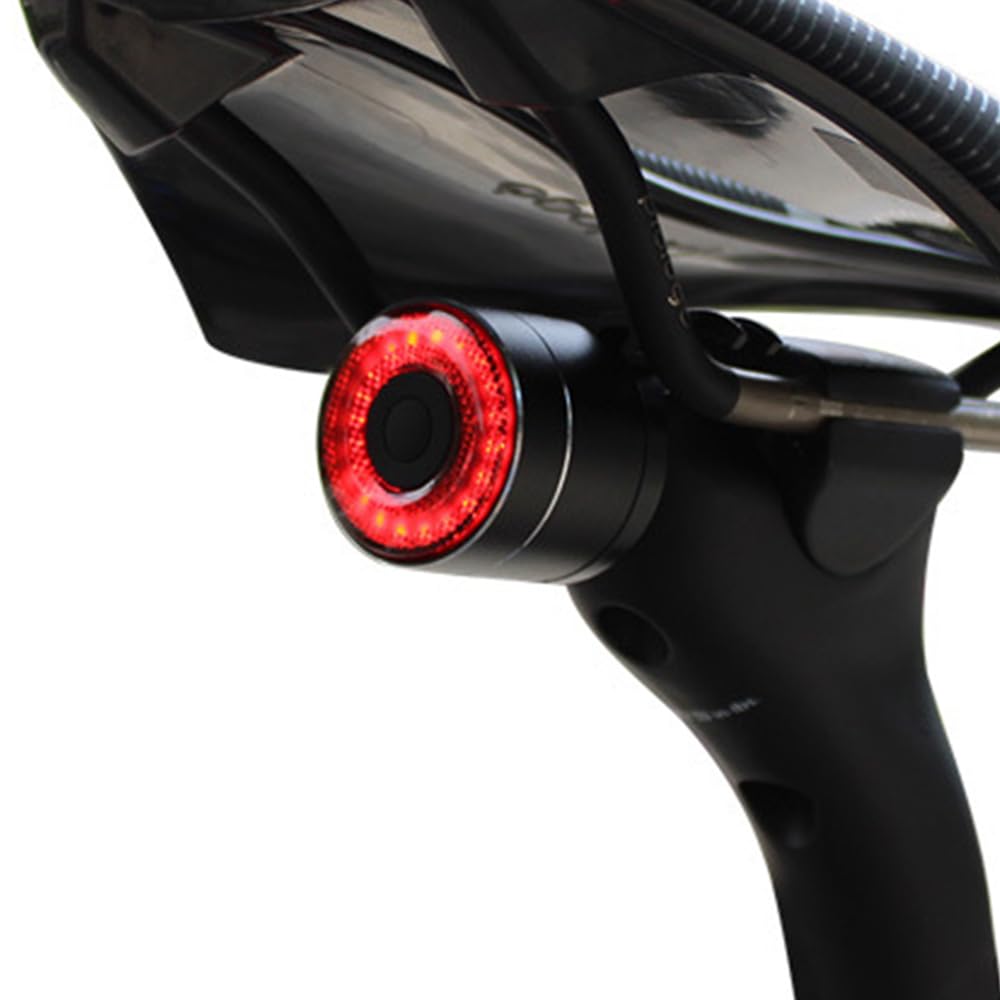 fanalino-posteriore-bici-305ghp-1.jpg Fanale Posteriore per Bicicletta, Ricarica USB Fanale Posteriore Freno Intelligente,Luci Posteriori Intelligenti con Rilevamento Della Luce,Impermeabile e Luminosità Regolabile : Amazon.it: Sport e tempo libero - immagine 1